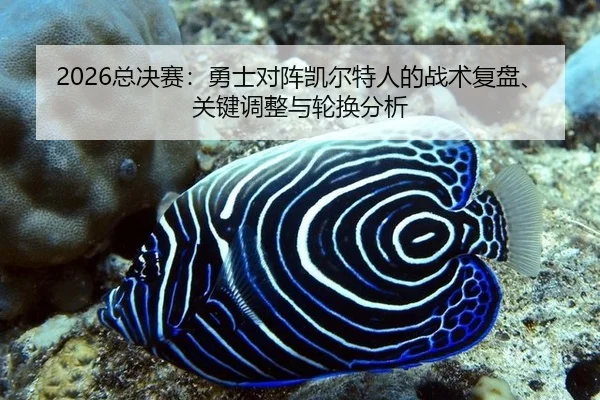 2026总决赛：勇士对阵凯尔特人的战术复盘、关键调整与轮换分析