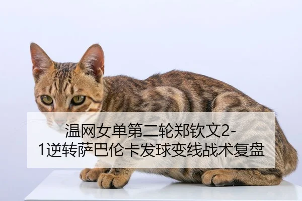 wen-wang-nv-dan-di-er-lun-zheng-qin-wen-ni-zhuan-sa-ba-lun-ka-fa-qiu-bian-xian-zhan-shu-fu-pan-3-499.jpg