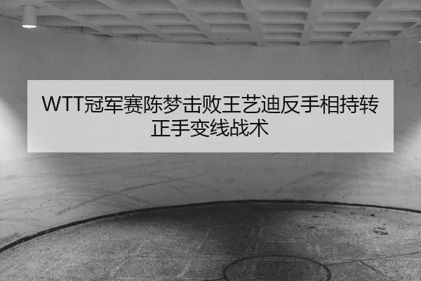 guan-jun-sai-chen-meng-ji-bai-wang-yi-di-fan-shou-xiang-chi-zhuan-zheng-shou-bian-xian-zhan-shu-3-598.jpg